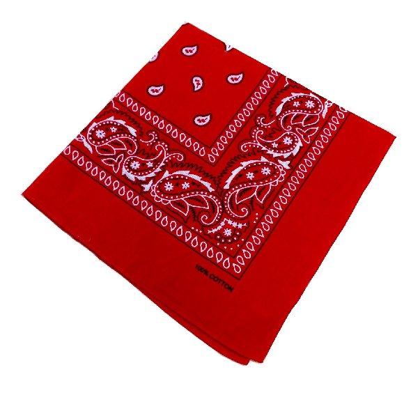 BN43 Bandana-Red Paisley image