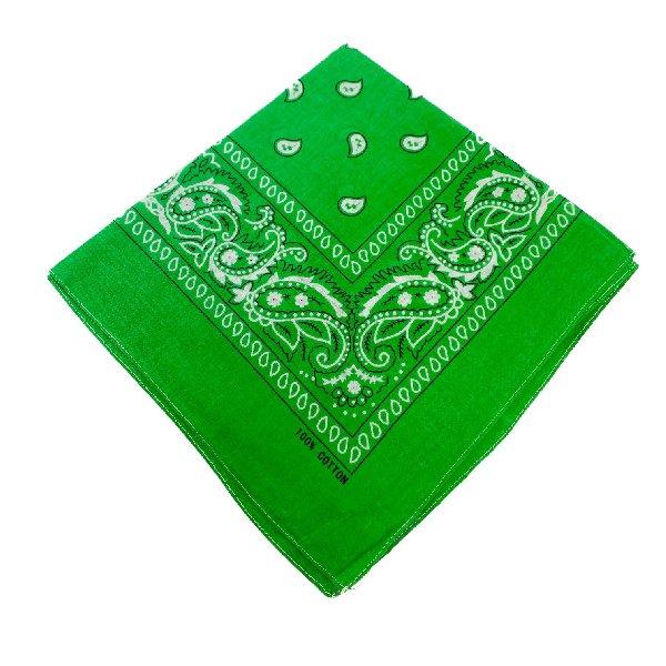 BN133 Bandana-Lime Green Paisley image