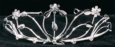 Rhinestones Tiara   ( # FC21) image