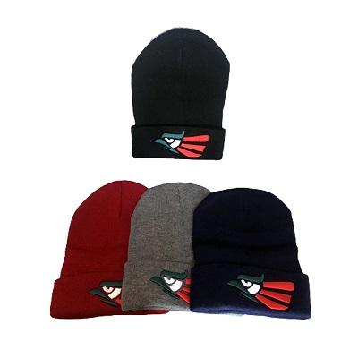 Beanies Mexico  Beanies - Winter Caps Winter Hats For Adults image