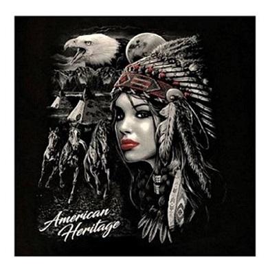 American Heritage Native Pride US Screen Printed T-Shirts image