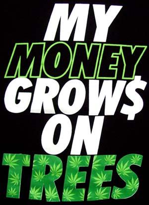 Marijuana Weed Pot Cannabis   T Shirt  .......... Money Grows On image