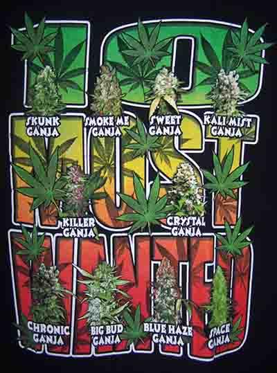 10 Most Wanted Marijuana Weed Pot Cannabis  T Shirt image