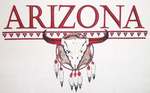 Native Pride - So Western Design T/Shirts (Bullhead & 7 Feathers) image