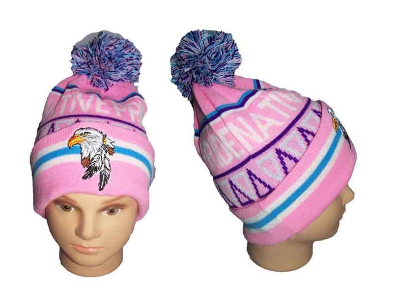 Native Pride Embroidered Beanies Winter Caps Eagle & Feather image