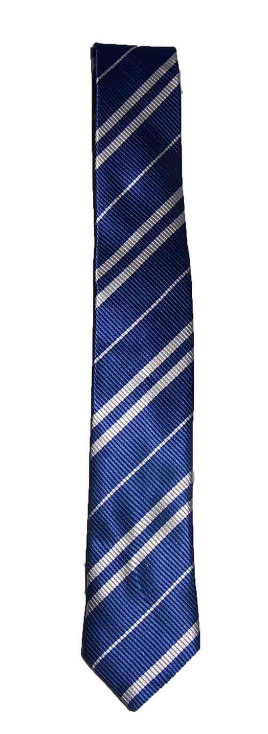 Harry Potter Neck Tie HOGWARTS Gryffindor House: Ravenclaw Tie image