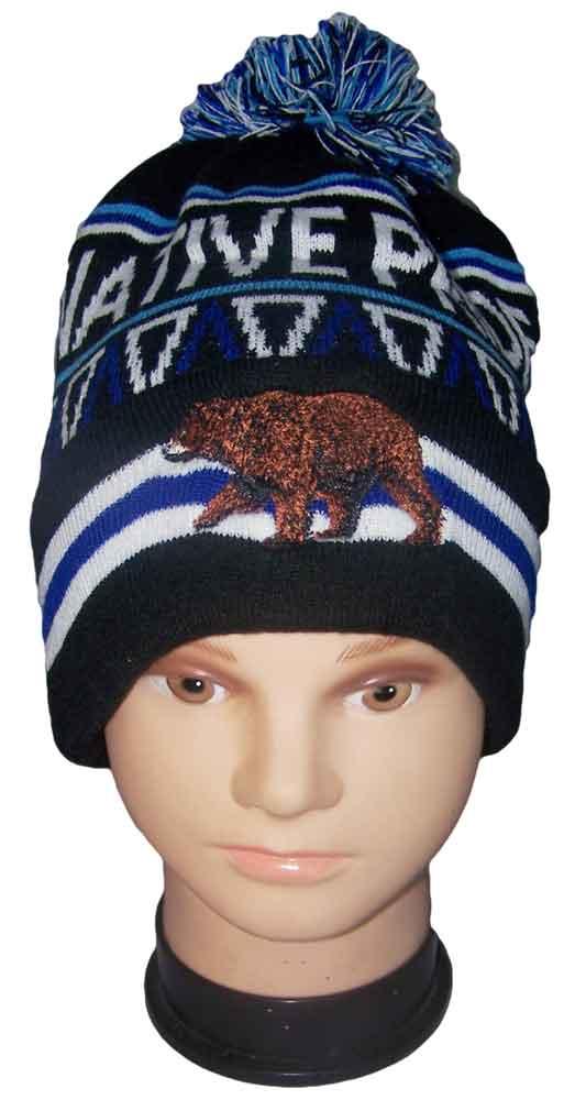 Native Pride Embroidered Beanies Winter Caps - Bear image