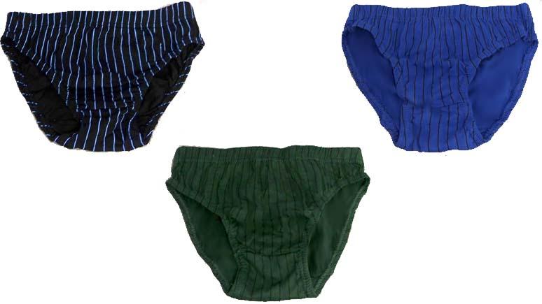 Boys Underwear Briefs - Boys Briefs Striped  ( # BB-13000) image