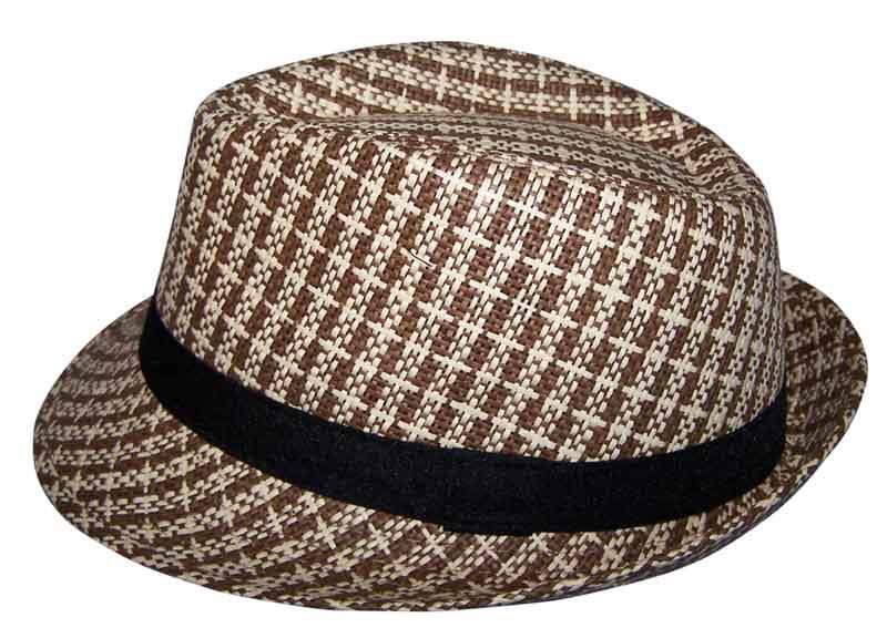 Fedora Trilby Hats For Kids - Classic Style -  Checkered Pattern image