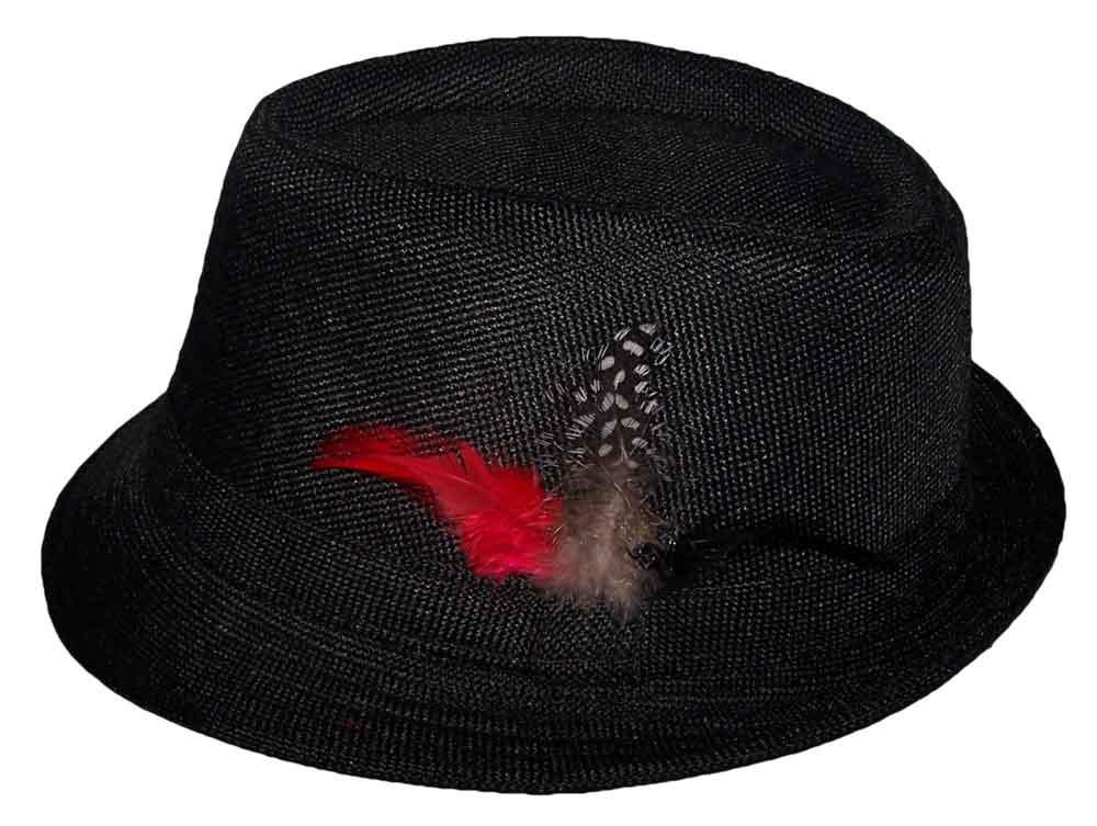 Fedora Trilby Hats -Adult Hats - Black w/ Feathers image