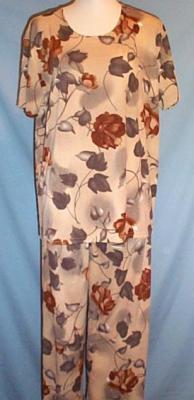 Womens 2Pc Short Sleeved Pants Sets (One Size) image