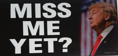Trump Magnet 4 X 7 Miss Me Yet (TRMG-303) image