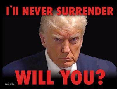 Trump Magnet - I'll Never Surrender - Will You? (MG-18187) image