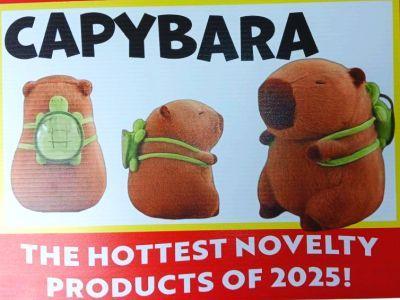 12 X 16 Coroplast Sign Capybara (SIGN-CAPY) image