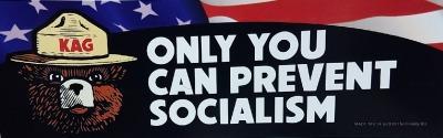 Trump Bumper Sticker Only You (BS-295) image