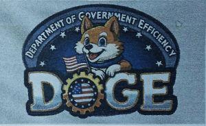 3 X 5 Polyester Flag Doge Dog (TRF-DOGE) image