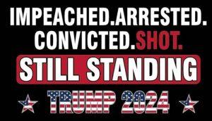 Trump 3.5 X 5" Sticker Impeached, Arrested, Convicted (TRST-3) image
