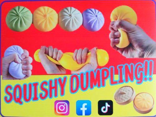 12" X 16" Coroplast Full Color Sign Dumplings (SIGND) OUT OF STOCK image
