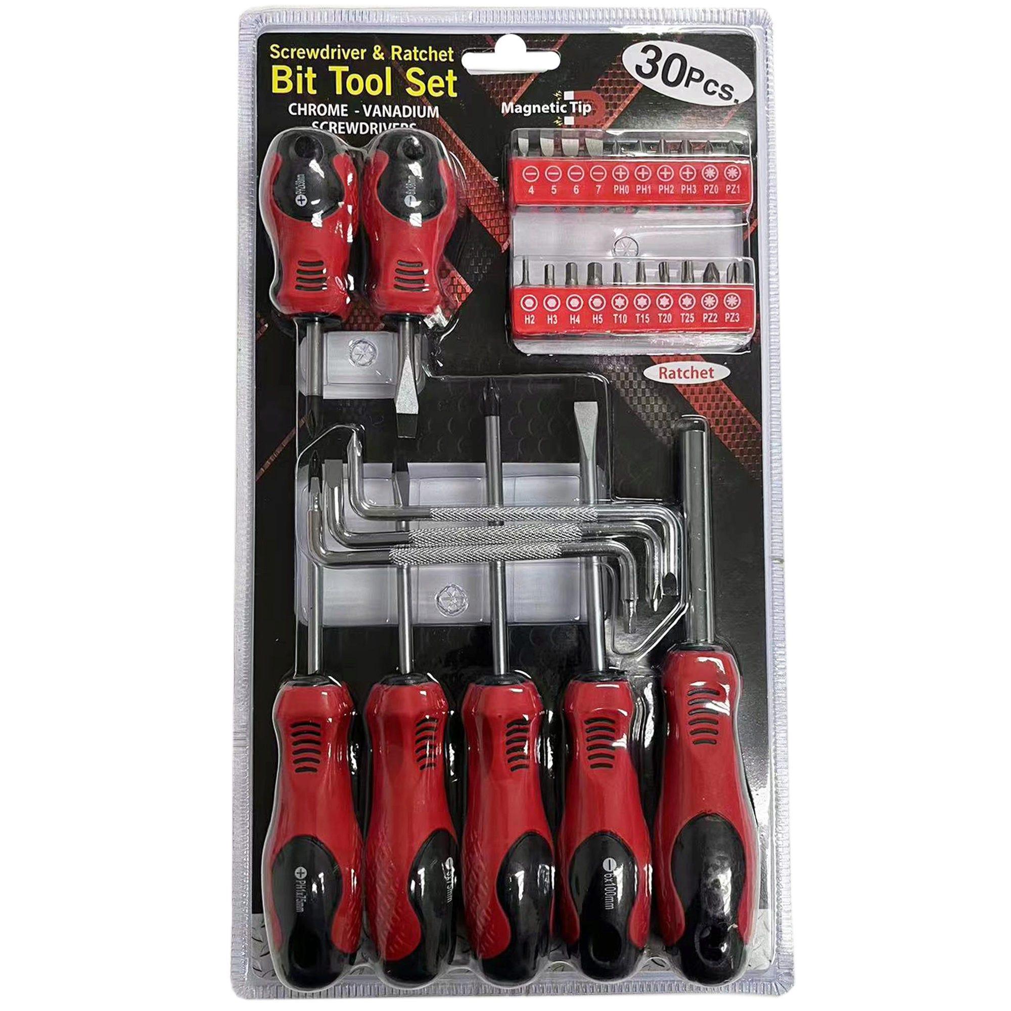 30pc Screwdriver & Ratchet Bit Tool Set image