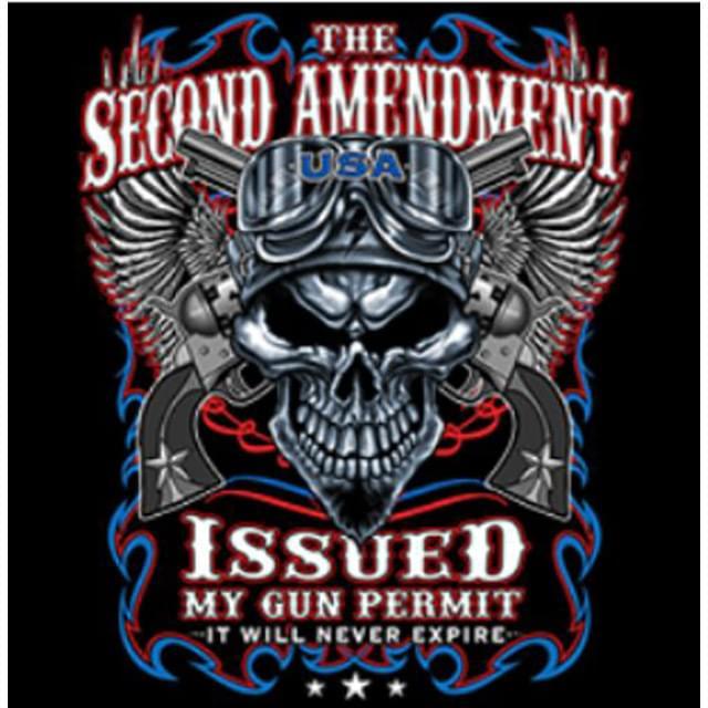 2nd Amendment Metal Skull Heat Transfers image