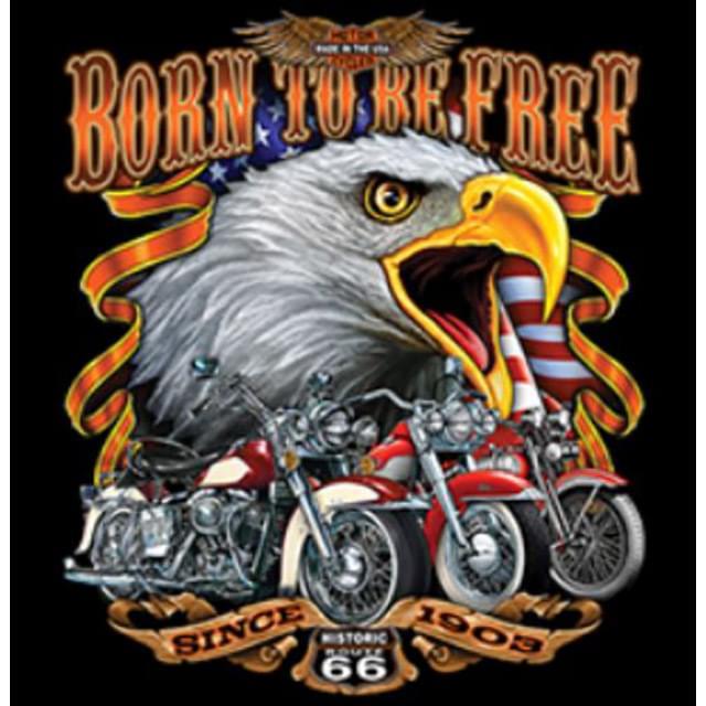 "Born To Be Free" Route 66 Transfers image