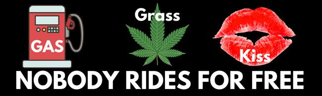Wholesale No Body Rides for Free Bumper Stickers image