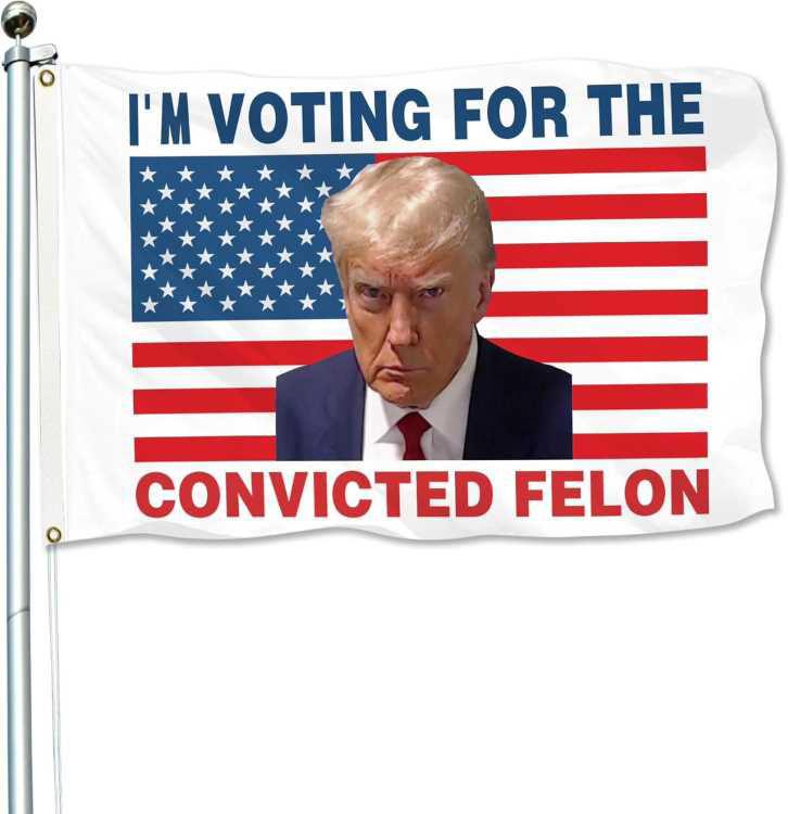 "I'm Voting For The Convicted Felon" Flags image