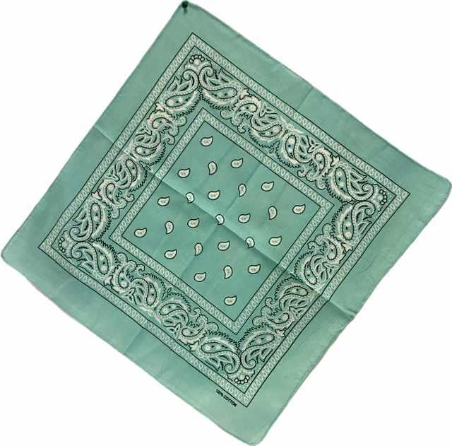 Mint Paisley Fabric Bandanas image